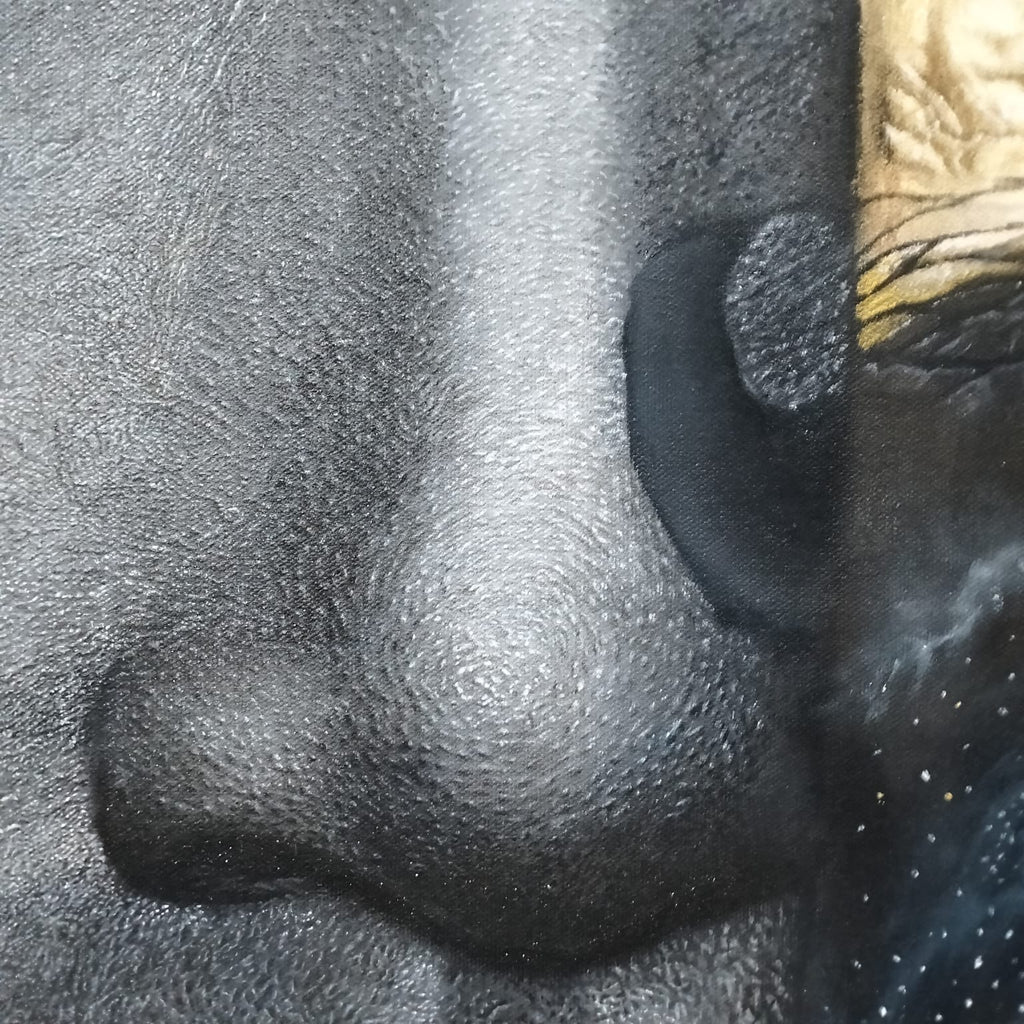 Metamorphosis: The Golden Awakening