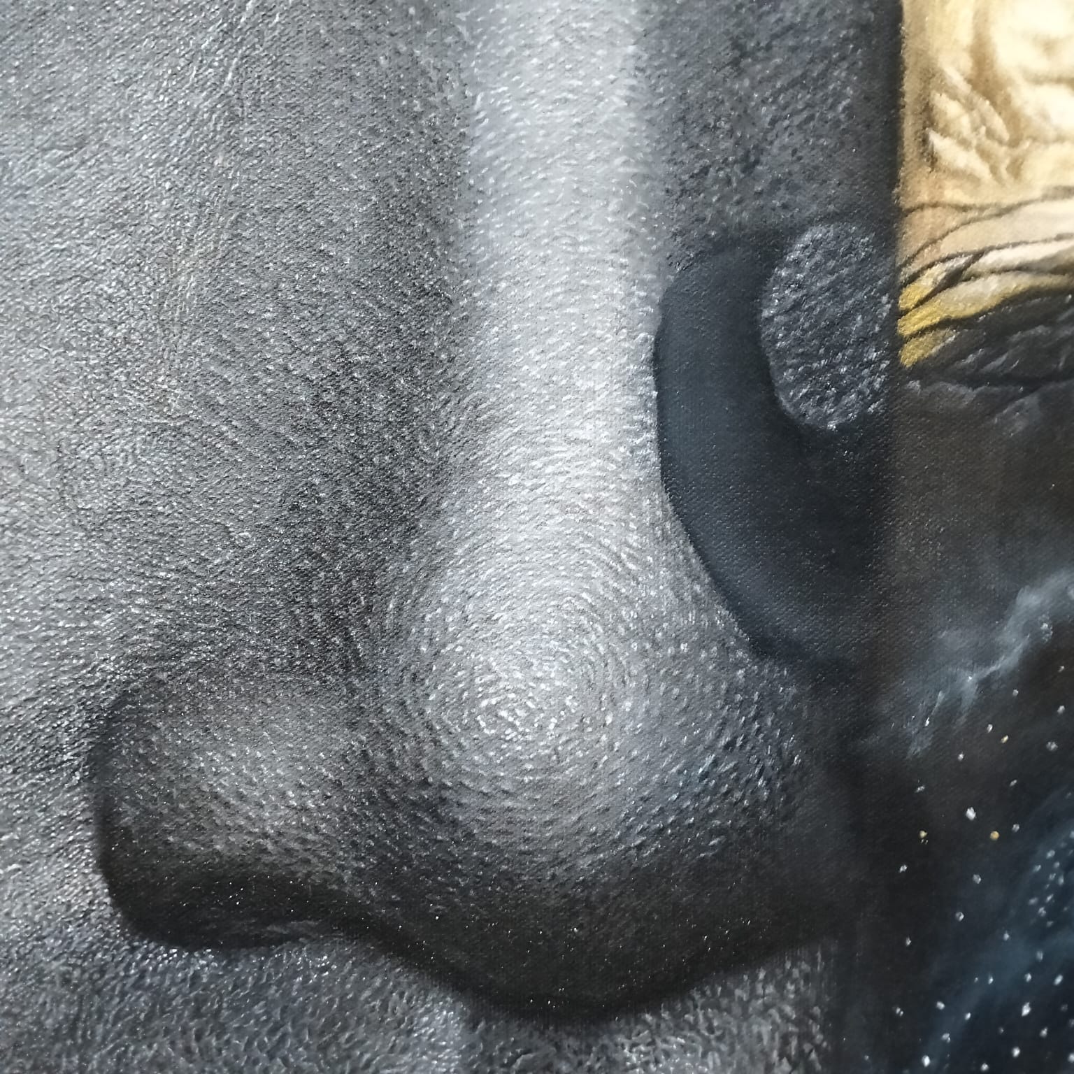 Metamorphosis: The Golden Awakening