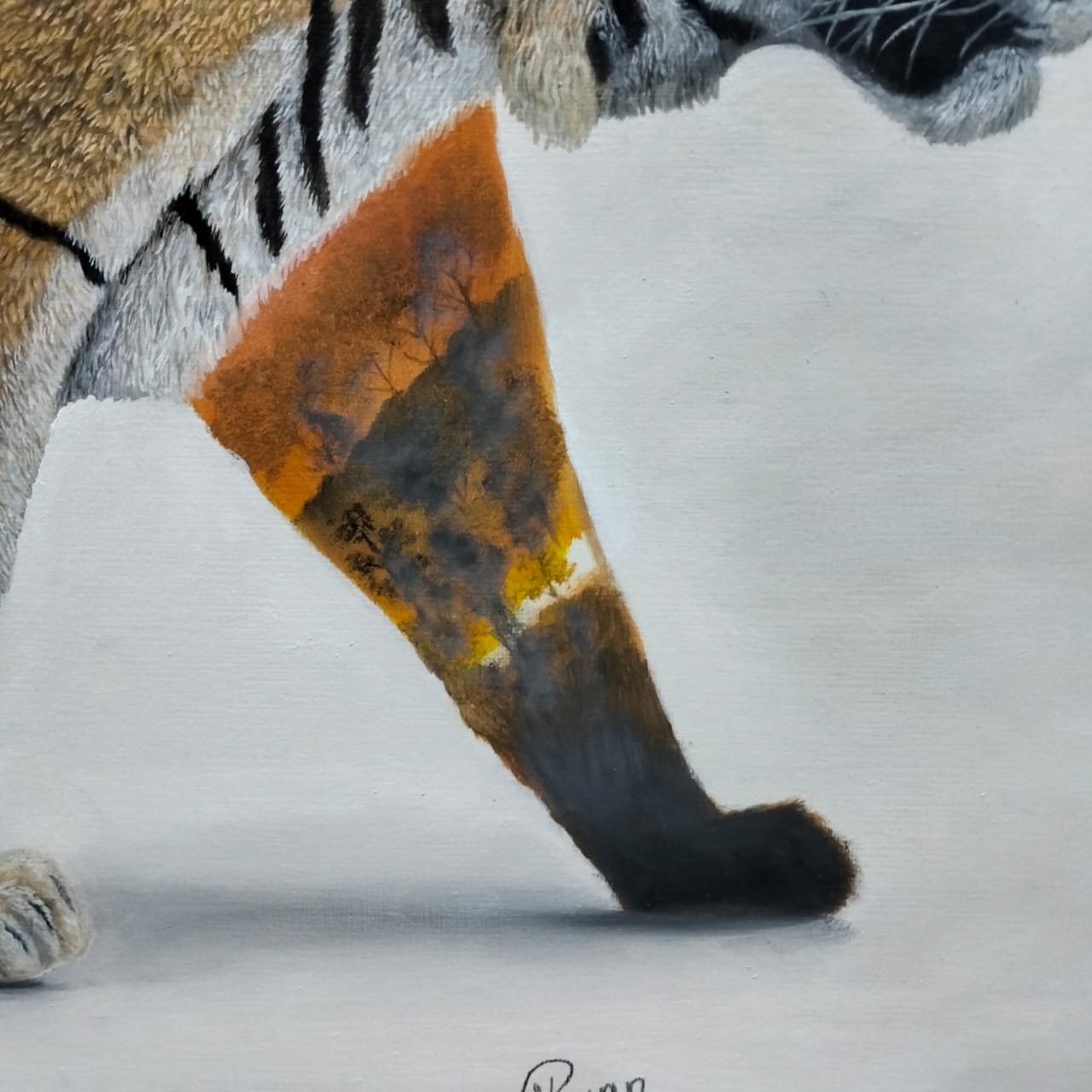 Tiger: Nature Unveiled