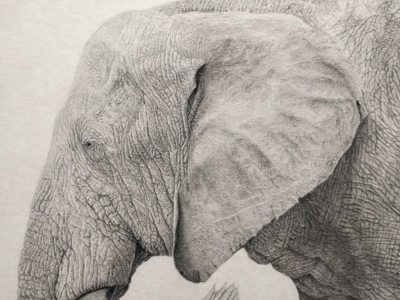 Timeless Majesty – Handcrafted Elephant Wall Art
