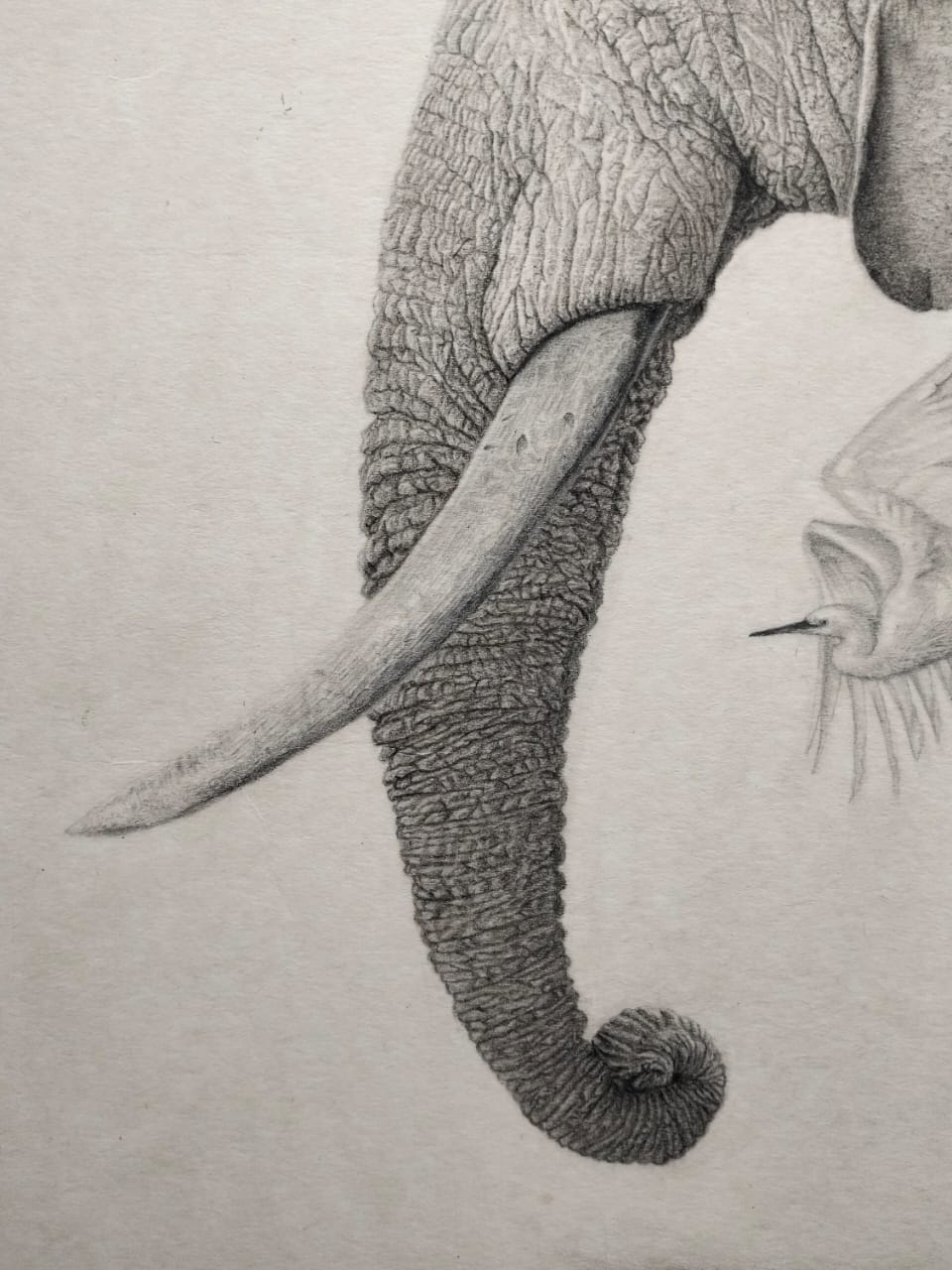 Timeless Majesty – Handcrafted Elephant Wall Art