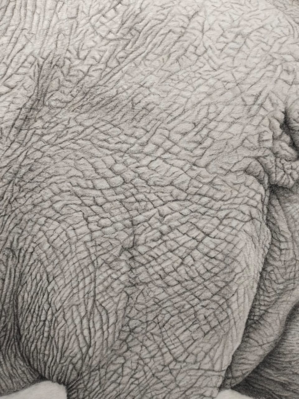 Timeless Majesty – Handcrafted Elephant Wall Art