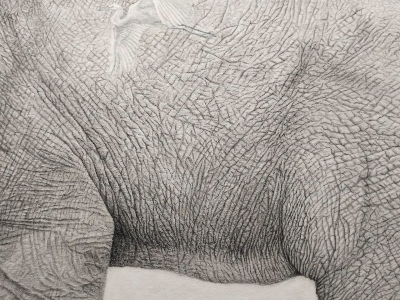 Timeless Majesty – Handcrafted Elephant Wall Art