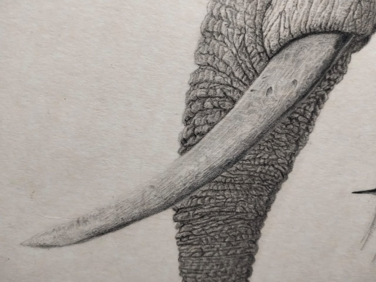 Timeless Majesty – Handcrafted Elephant Wall Art